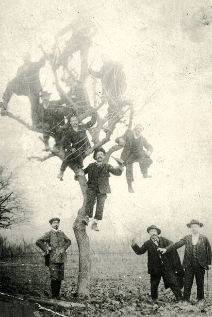 Foto di soci della Corale sull'albero storico